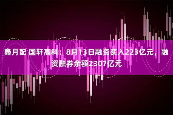 鑫月配 国轩高科：8月13日融资买入223亿元，融资融券余额2307亿元